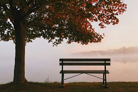 Fall Landscaping Services Fall Landscaping Services