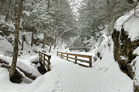 Winter Landscaping Services Winter Landscaping Services
